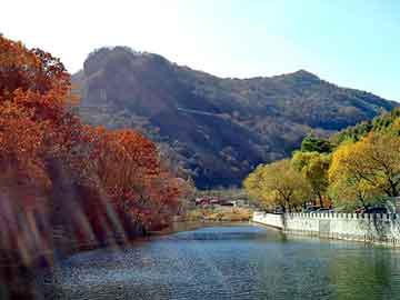 戴顺智，花生油榨油机多少钱